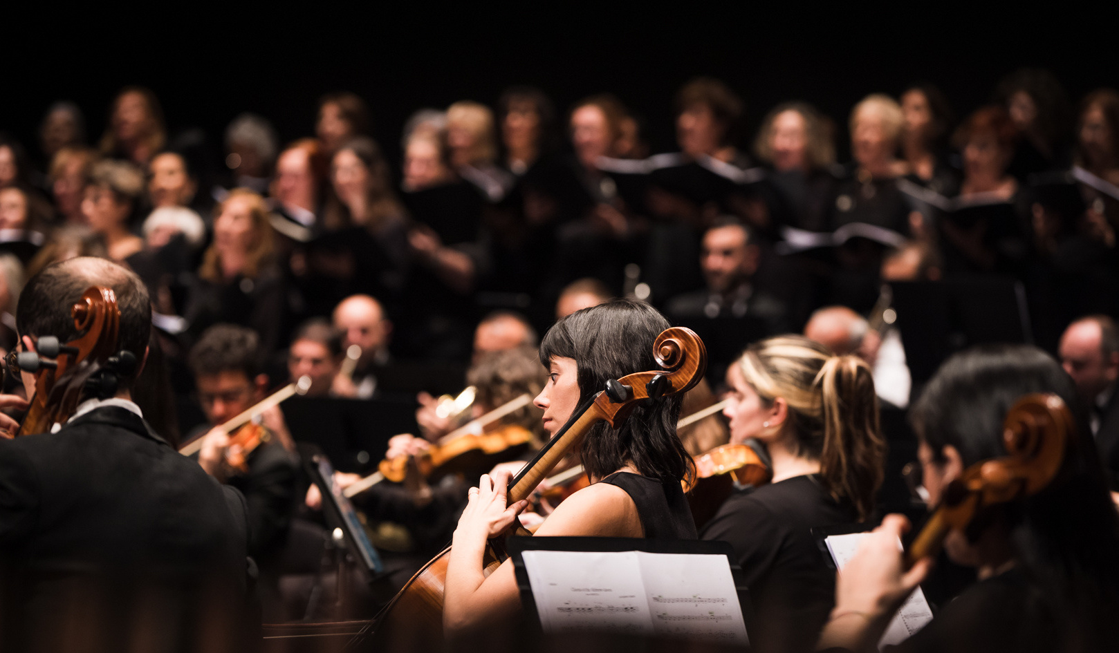 Músicos de la orquesta durante el concierto