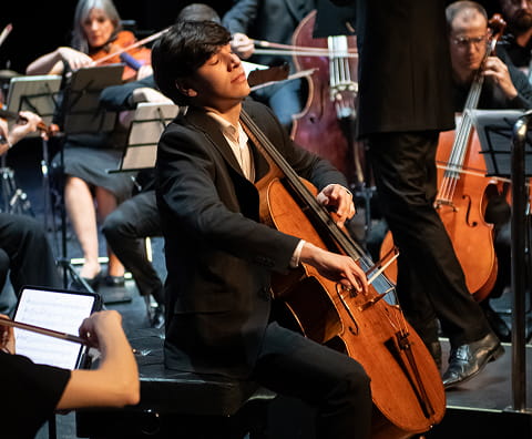Orquesta Camerata en concierto