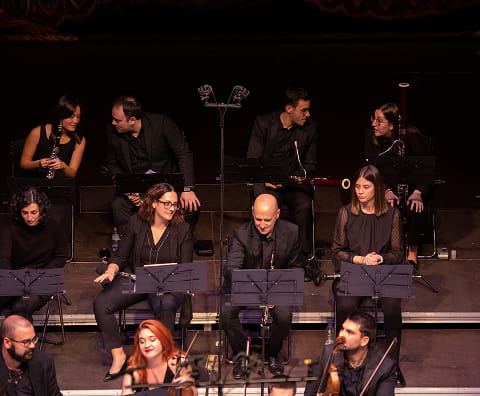 Orquesta Camerata en concierto